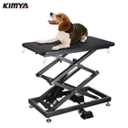 Electric height adjustable hydraulic folding peg dog grooming table