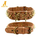 Personalized Luxury Fashion Pretty Studded Spiked Genuine Leather Dog Pet Collar