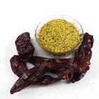 Seed Dry Sweet Paprika Spent Powder Seeds