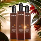 Brand name professional nourishing anti-dandruff natural mild horse oil hair shampoo private label
