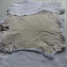 Rex Rabbit Fur ALICEFUR Wholesale Cheap Price Rex Rabbit Fur White Color Rex Rabbit Pelt