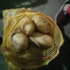 New season fresh potato China wholesale