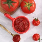 Canned special tomato paste ketchup 210g