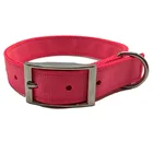 1'' Wide Walking Dog Collar Nylon Supplies,Custom Collar De Perro For Dog Training Walking