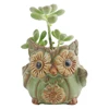 Set Of Six Succulent Plants Mini Owl Ceramic Pottery