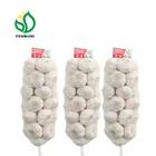 2019 new crop good quality and low price garlic(ALHO)