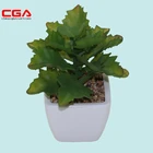 Simulation Bonsai Artificial Pot Plant Lifelike Indoor Plant Artificial Cactus In Pot
