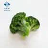 /product-detail/2019-brc-certified-iqf-bulk-frozen-broccoli-with-competitive-price-62082113200.html