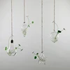 Borosilicate Cheap Home Decorations Air Plant Clear Hanging Ball Glass Terrarium Small Vase