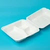 /product-detail/biodegradable-sugarcane-bagasse-paper-disposable-fast-food-packaging-lunch-tray-62083346697.html