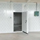 Hot selling product panel polyurethane plant ozone generator cold storage room