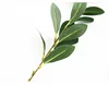 New decoration artificial plastic green seven-stars orange leaf white dry red rhododendron branches