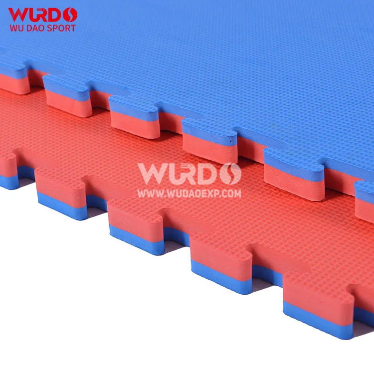 Hot Sale Roll Out Jiu Jitsu Mats Gym Floor Mat Wushu Equipment