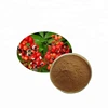 /product-detail/gmp-certified-100-natural-20-caffeine-powder-guarana-seeds-extract-62095102065.html