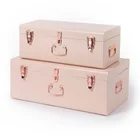 Modern Metal Decorative American Metal trunk