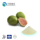 100% natural freeze dried guava powder