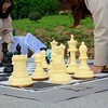 /product-detail/stores-sell-garden-giant-chess-set-62109873607.html