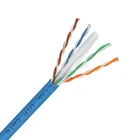 Ethernet Cable Amp Standard Cat6 Ethernet Cable