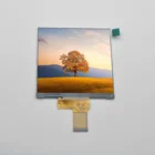 4.0inch 480x480 tft lcd square tft display with RGB interface