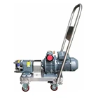 rotary lobe pump for food industry with sanitary stainless steel head