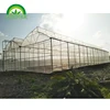 Top Vent Window Tomato Agricultural Greenhouse Construction