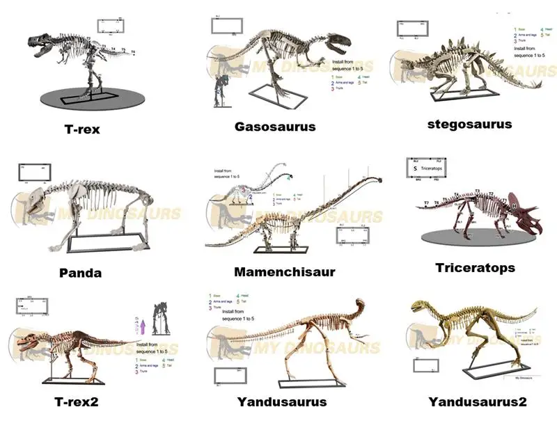 R-life Size Dinosaur Skeleton Replica For Sale, View Dinosaur Skeleton 