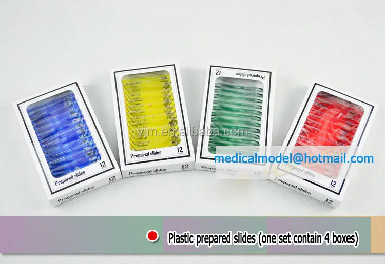 botanical microscope plastic prepared slide