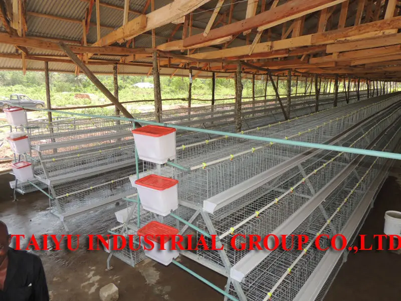 Taiyu Uganda Poultry Chicken Houses Buy Uganda Poultry Chicken Houses