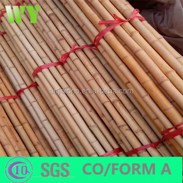 WY-CC083 2016 Hight quality raw bamboo poles/advanced material in construction