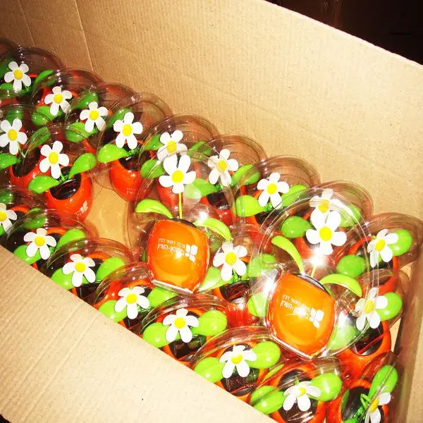 Hot Sale Various Fashion Flip Flap Solar Elephant For Wholesale