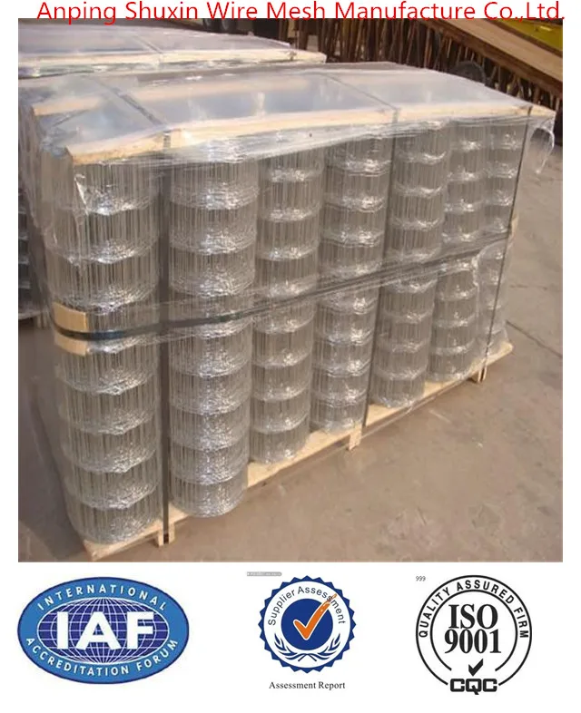 Welded wire mesh roll/galvanized welded wire mesh and pvc coated welded wire mesh/iron wire mesh