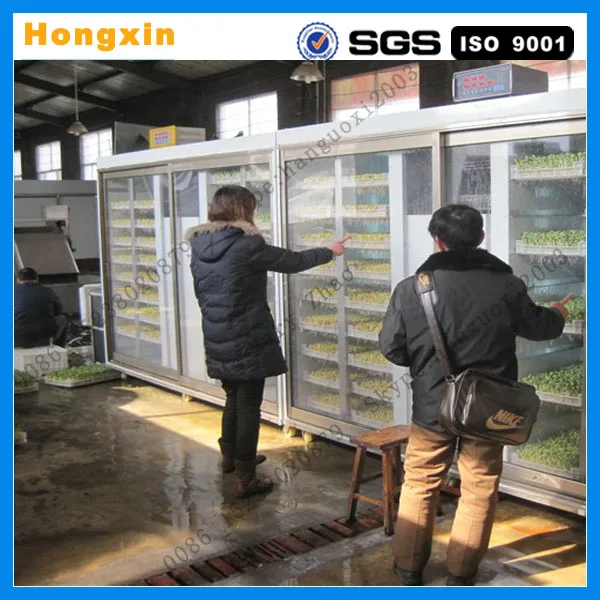 high quality soybean sprout machine/bean sprout making machine