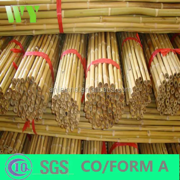 WY-CC083 2016 Hight quality raw bamboo poles/advanced material in construction
