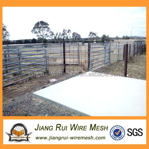 widely used in animal husbandry to raising livestocks (cattle