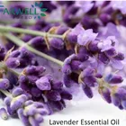 Farwell Natural Essential Oils, Lavender Essential Oil CAS 8000-28-0