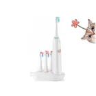 China Toothbrush Adult Rechargeable Toothbrush Dental Toothbtush Escova De Dentes