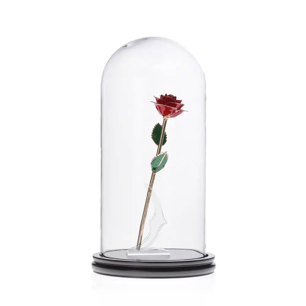 Small Glass Display Dome With Wood Base D10 x H25cm