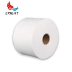 Biodegradable Spunlace Nonwoven Fabric for Wet Wipes