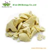 Top Quality Fantastic Raw Organic Cocoa Butter