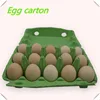 Hot sale protect egg pulp egg carton at lower price