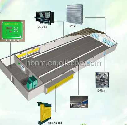 poultry slaughterhouse equipment