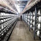 Wholesale free samples Factory directly supply white 100% polyester dty yarn 150/144 filament yarn for knitting