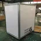 DC Mini Portable Movable Cold Storage Room for Mini Frozen Truck/Ice cream Van