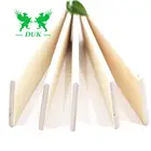 Curved LVL Bed Slats /Flat Poplar Core LVL (Laminated Veneer Lubmer ) For Bed Slats Used