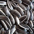 orginal Place sell SUNFLOWER SEEDS FOR MAKING OIL