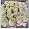 /product-detail/garlic-for-pakistan-618612731.html
