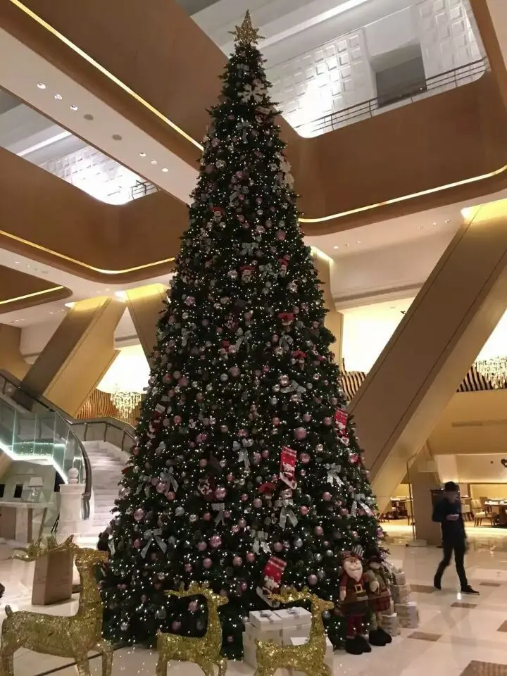 8m tree (2).jpg