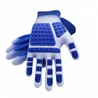 China hair brush pet cleaning dog & cat pet grooming glove pet hair removal brush manufacturer