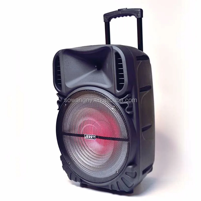 2019 Hot selling portable 15 inch karaoke trolley speaker - ANKUX.COM