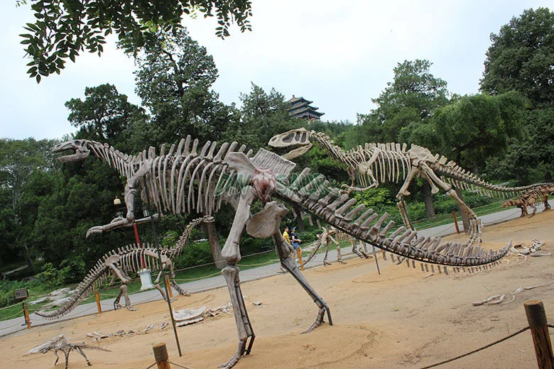 byys-armour-covered-jurassic-dino-park-life-size-dinosaur-skeleton